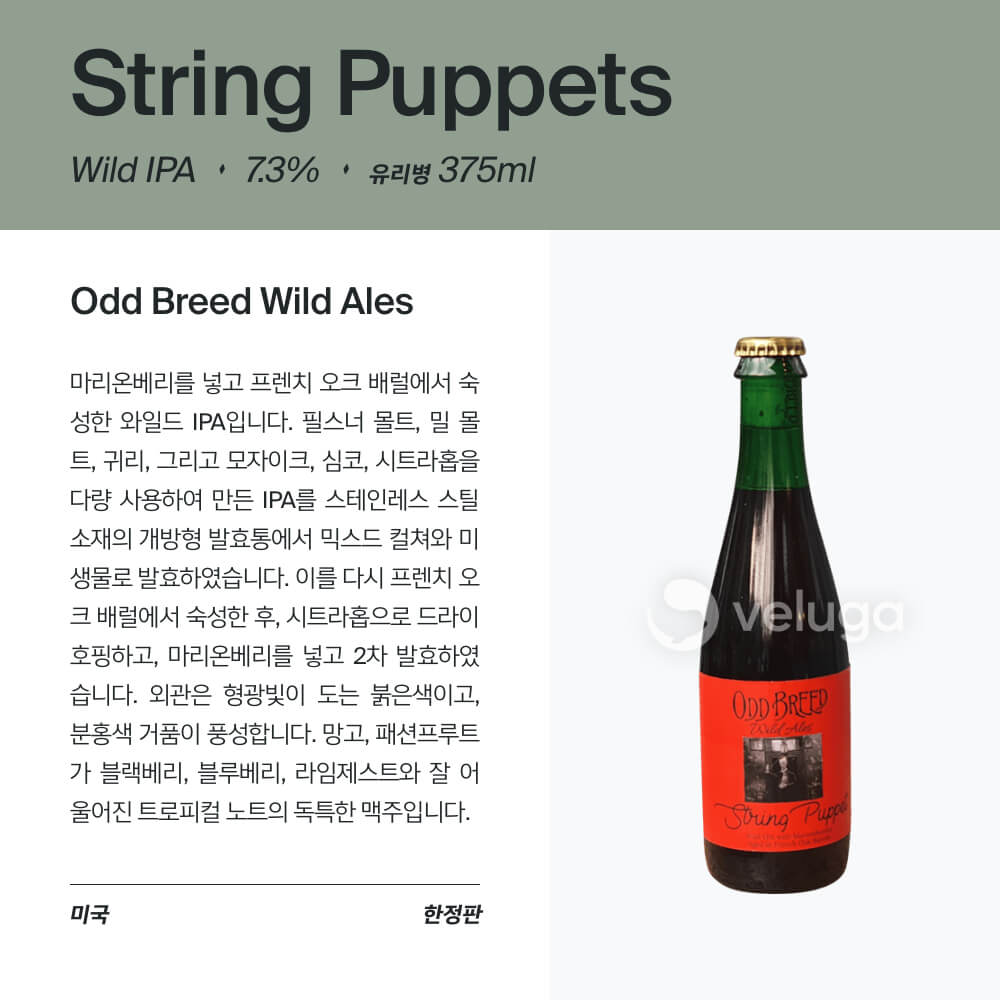 맥주 설명 이미지가 도망갔어요