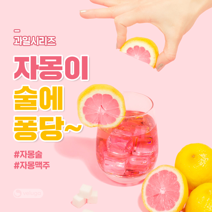 자몽이 술에 퐁당 이미지